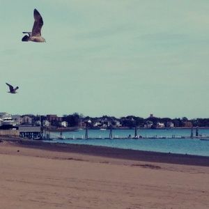 Meet your Posher, Zaida